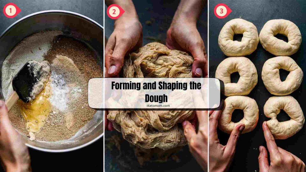Forming and Shaping the Dough