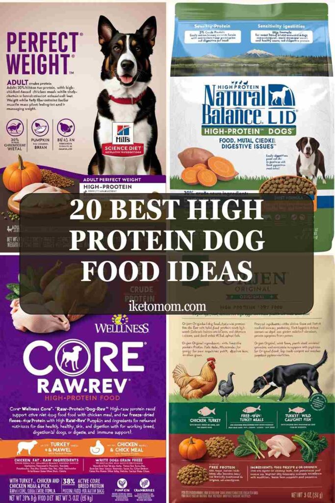 High Protein Dog Food Ideas