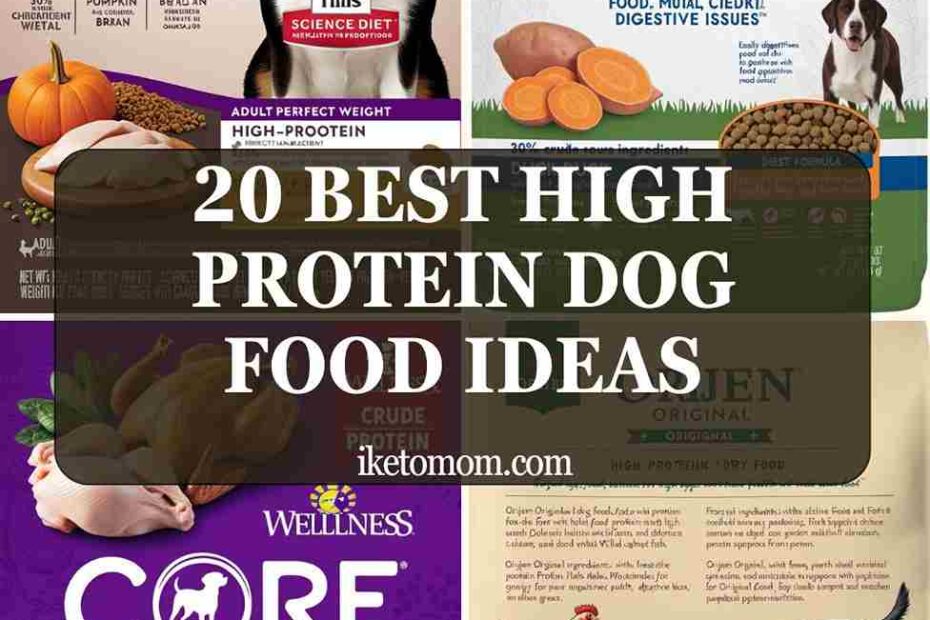 High Protein Dog Food Ideas