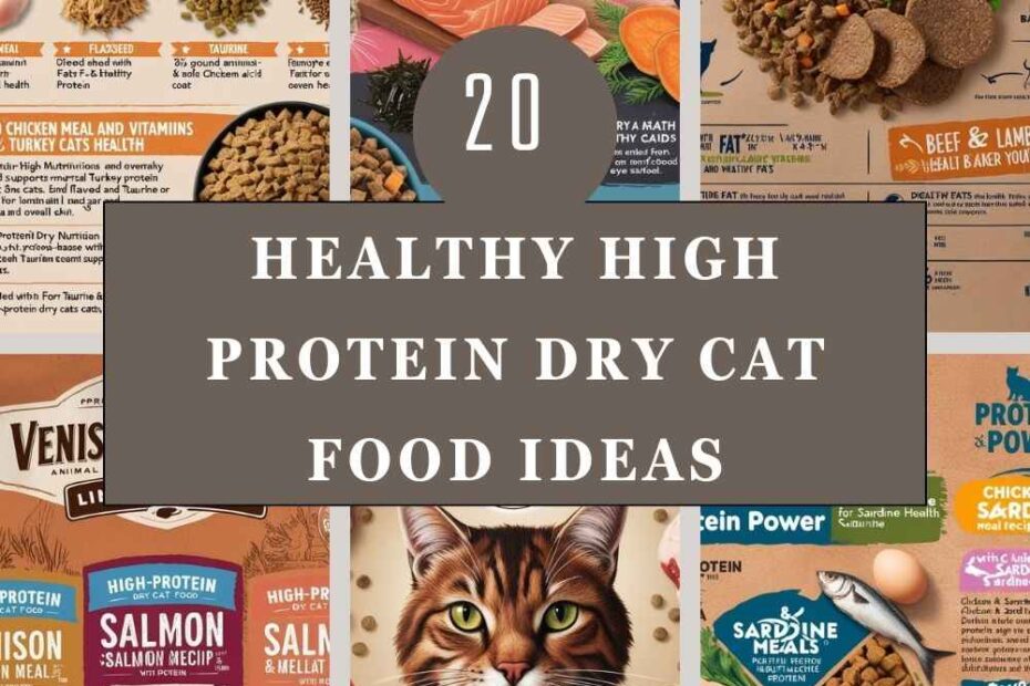 High Protein Dry Cat Food Ideas