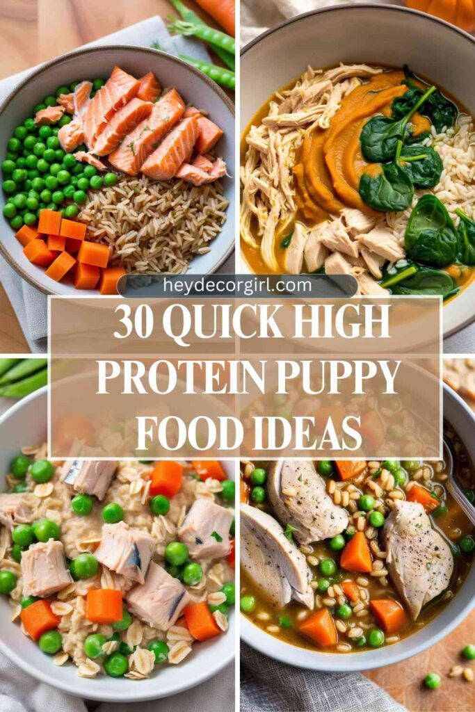 High Protein Puppy Food Ideas 