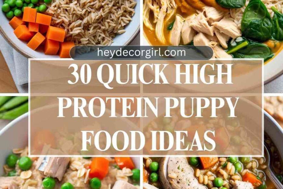 High Protein Puppy Food Ideas 