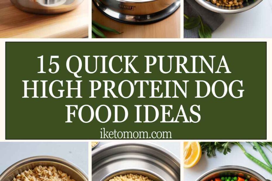 Purina High Protein Dog Food Ideas