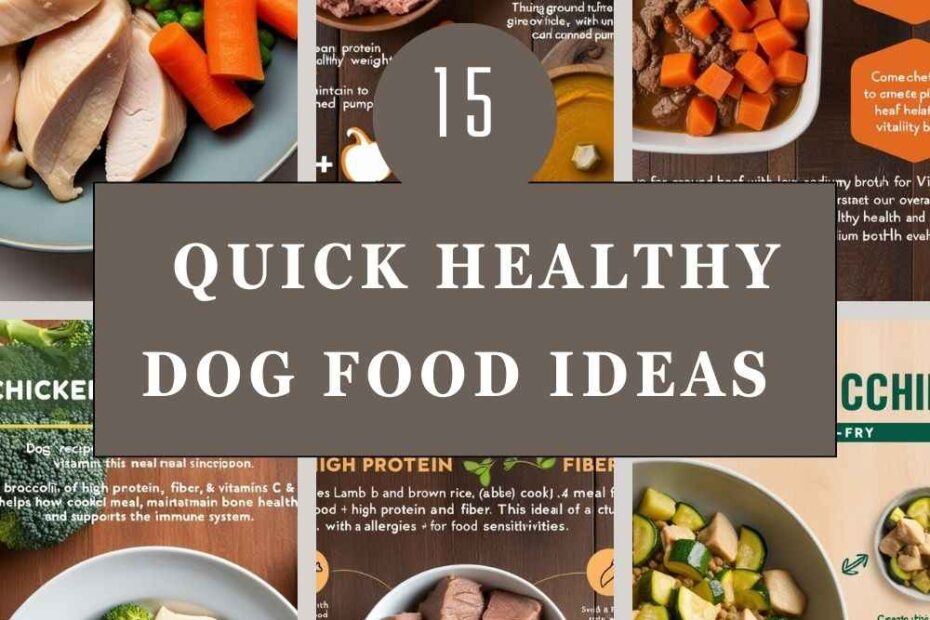 Healthy Dog Food Ideas