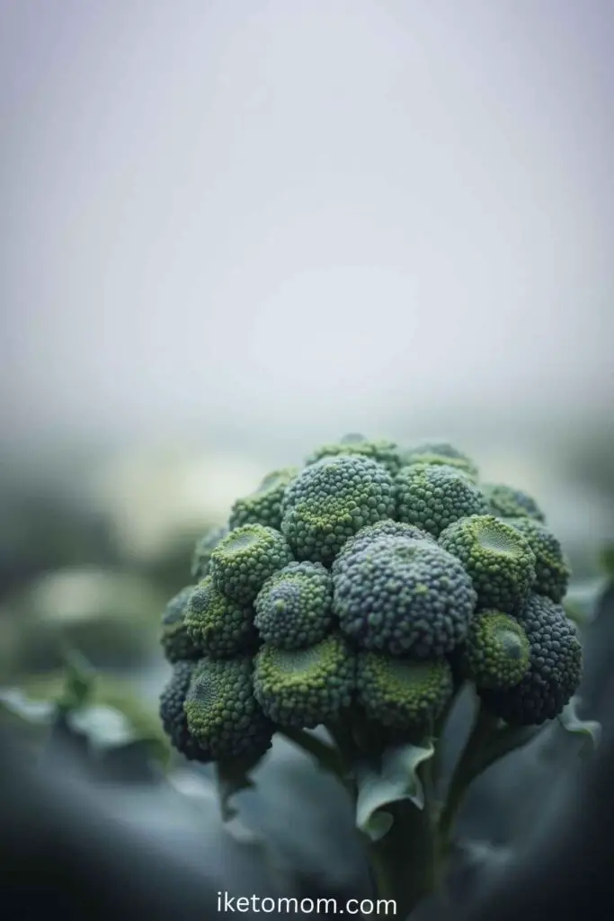 Brain Healthy Foods Ideas Broccoli The Veggie for Stronger Brain Cells