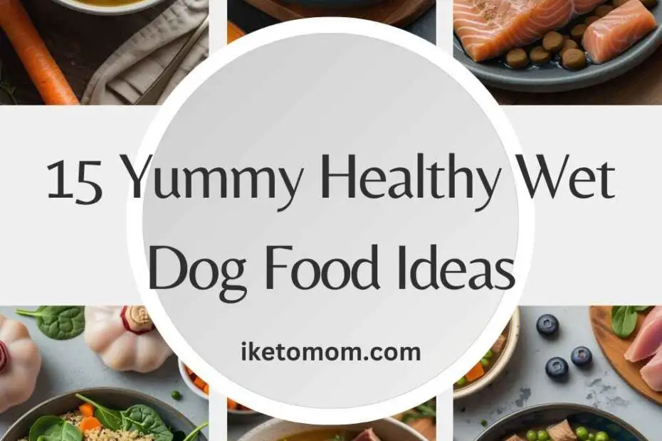Healthy Wet Dog Food Ideas