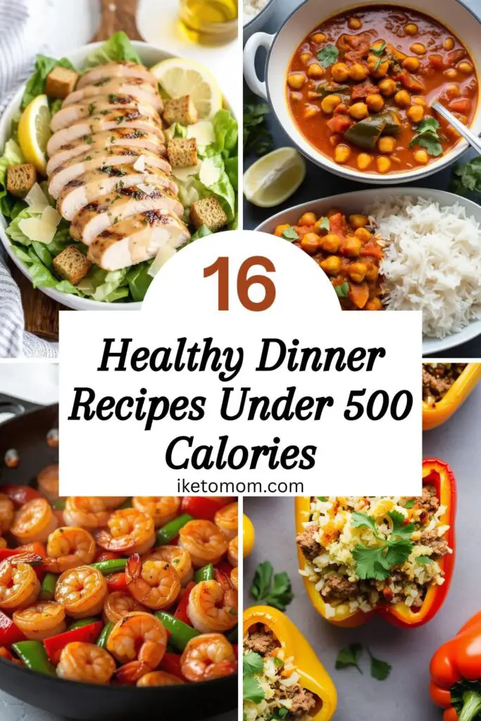 Dinner Recipes Under 500 Calories​​​