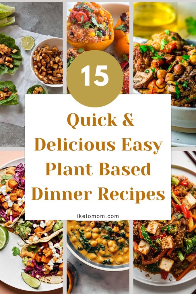 Easy Plant Based Dinner Recipes