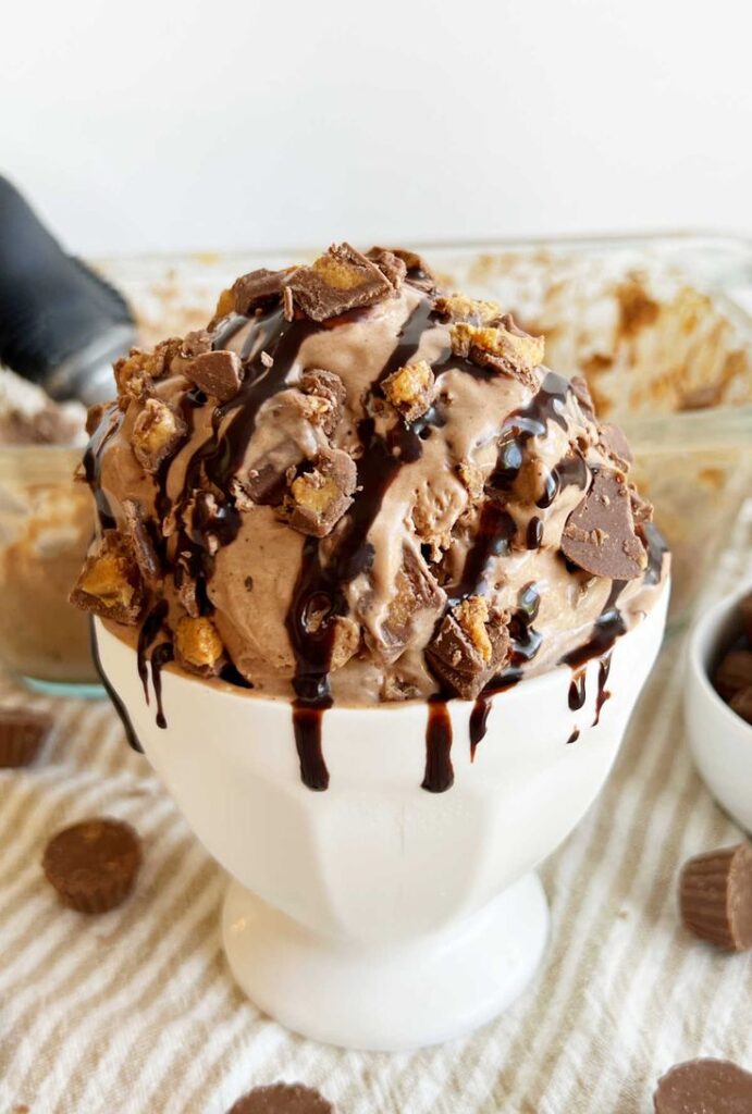 Chocolate Peanut Butter Ice Cream